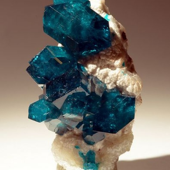 Meet your Posher, C - Picture 1 of 1